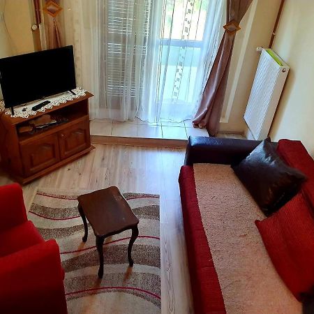 Apartman Sergej 2 Appartement Sokobanja Buitenkant foto