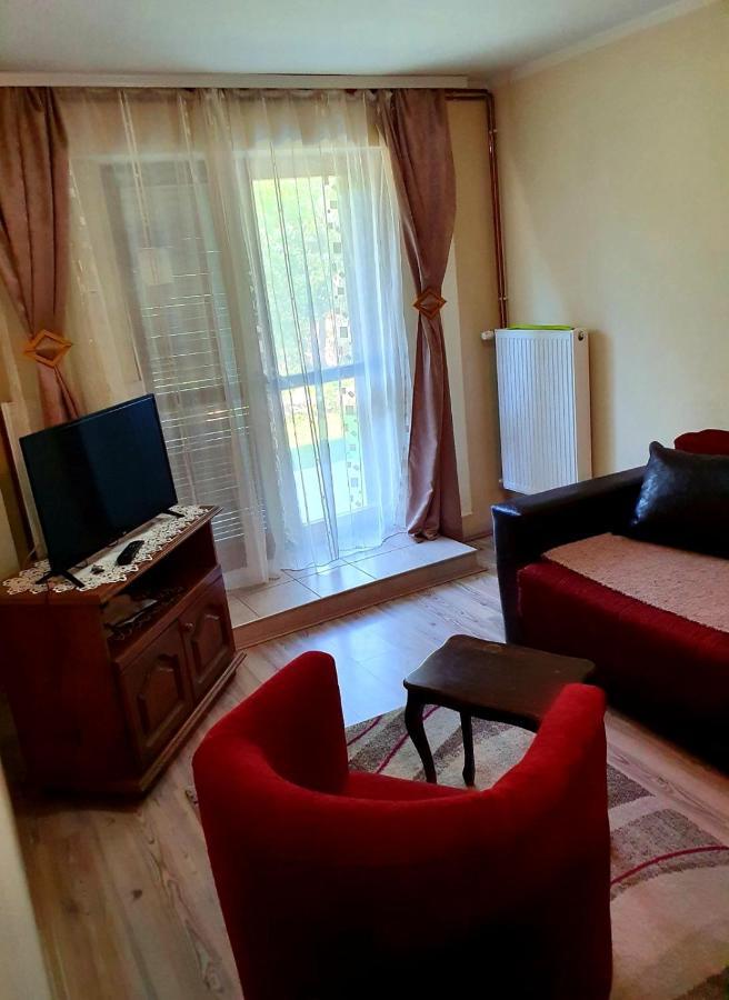 Apartman Sergej 2 Appartement Sokobanja Buitenkant foto