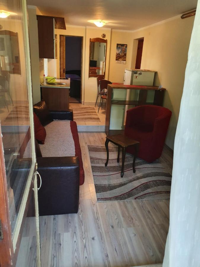 Apartman Sergej 2 Appartement Sokobanja Buitenkant foto