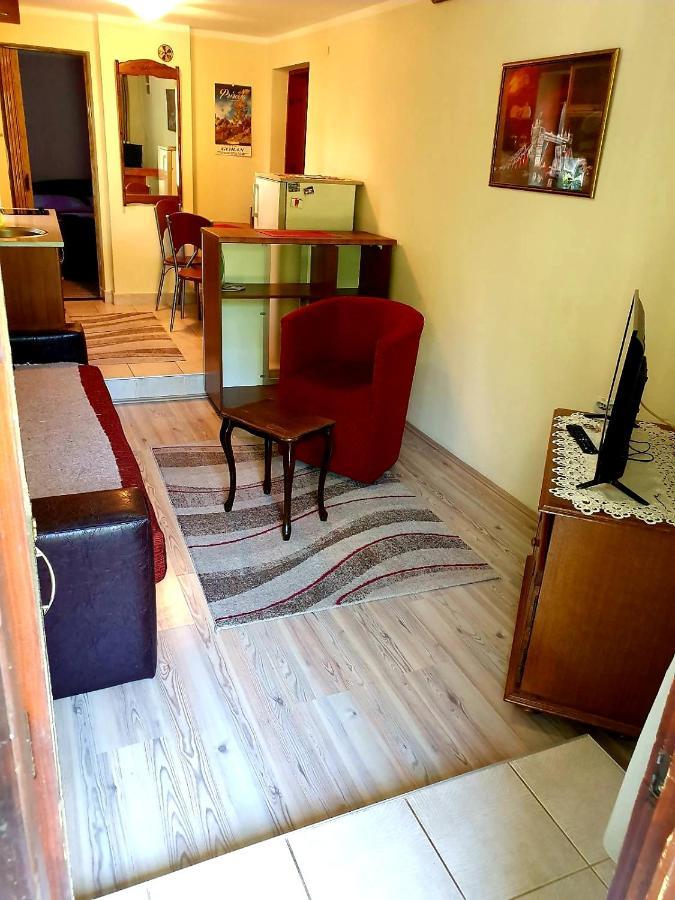 Apartman Sergej 2 Appartement Sokobanja Buitenkant foto