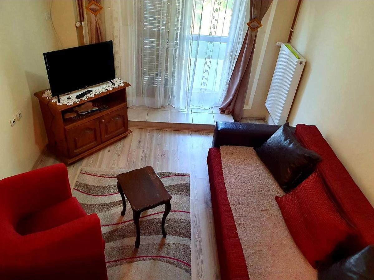 Apartman Sergej 2 Appartement Sokobanja Buitenkant foto