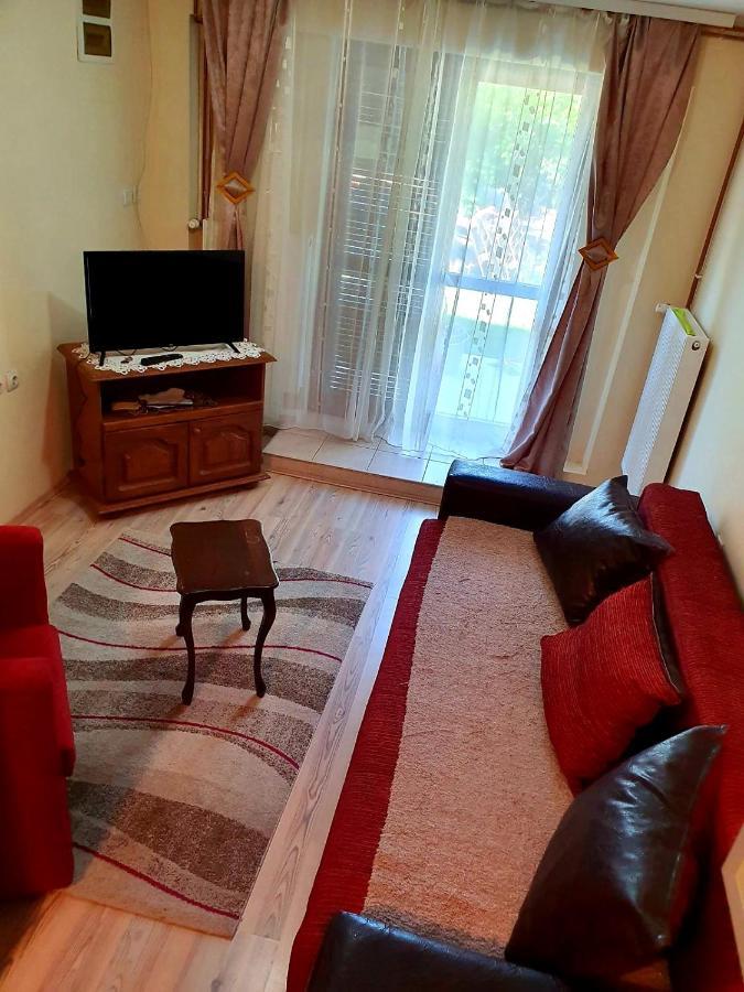 Apartman Sergej 2 Appartement Sokobanja Buitenkant foto