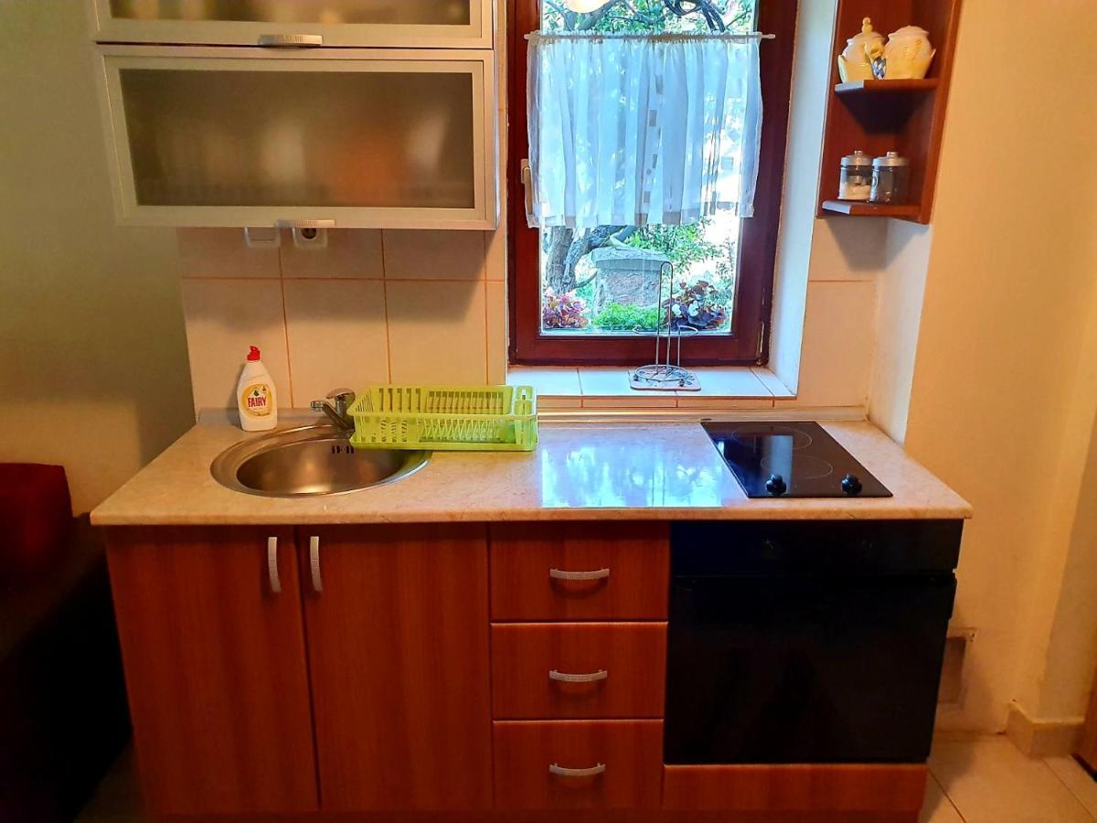 Apartman Sergej 2 Appartement Sokobanja Buitenkant foto