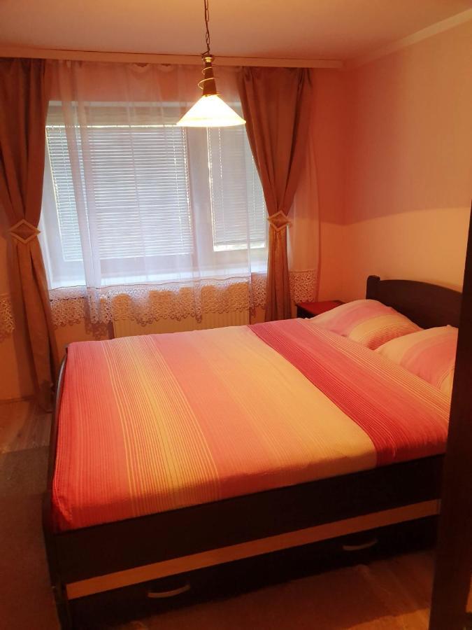 Apartman Sergej 2 Appartement Sokobanja Buitenkant foto