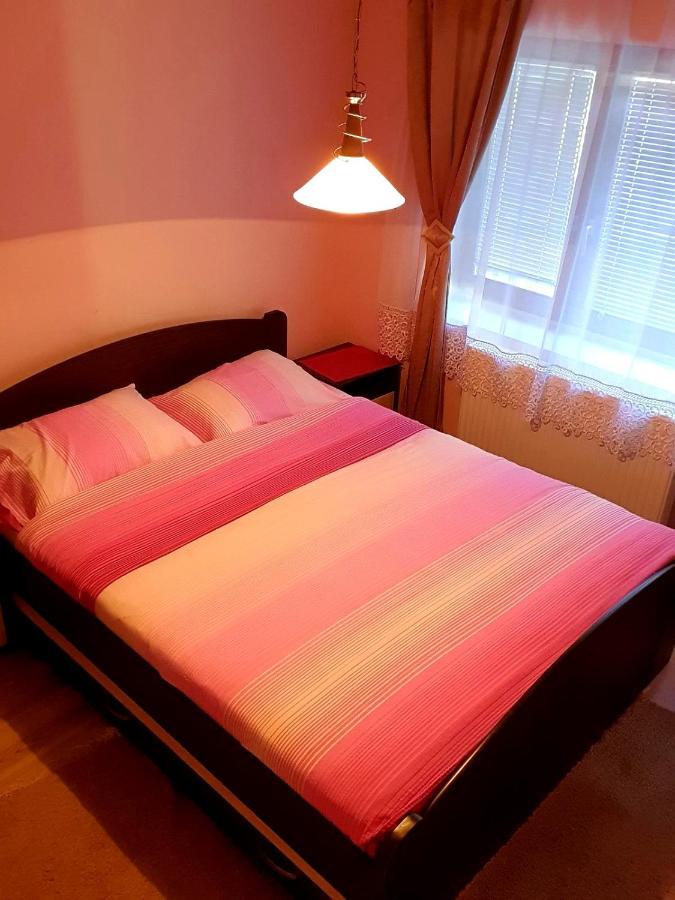 Apartman Sergej 2 Appartement Sokobanja Buitenkant foto