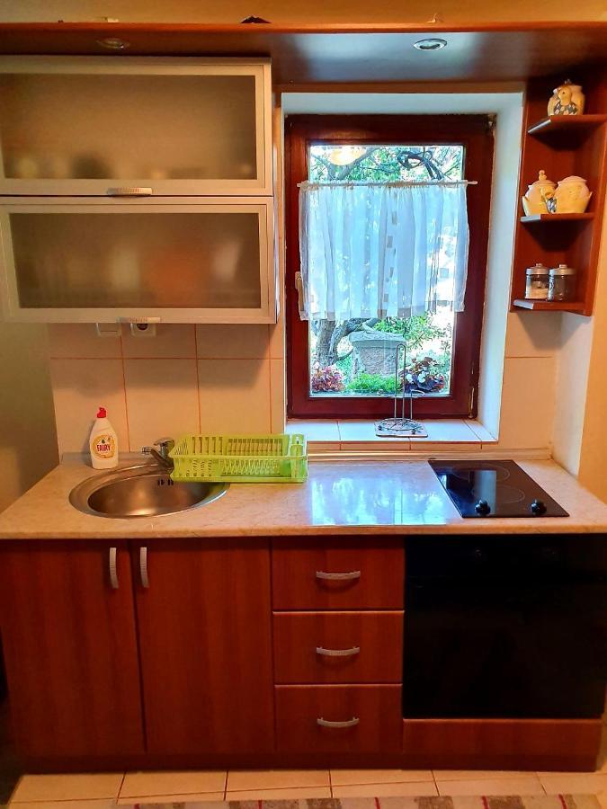 Apartman Sergej 2 Appartement Sokobanja Buitenkant foto